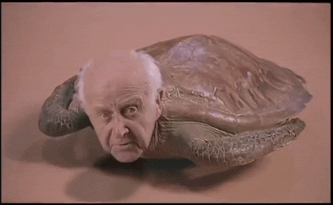 Feliz Día Del Abuelo 473 X 292 Gif GIF