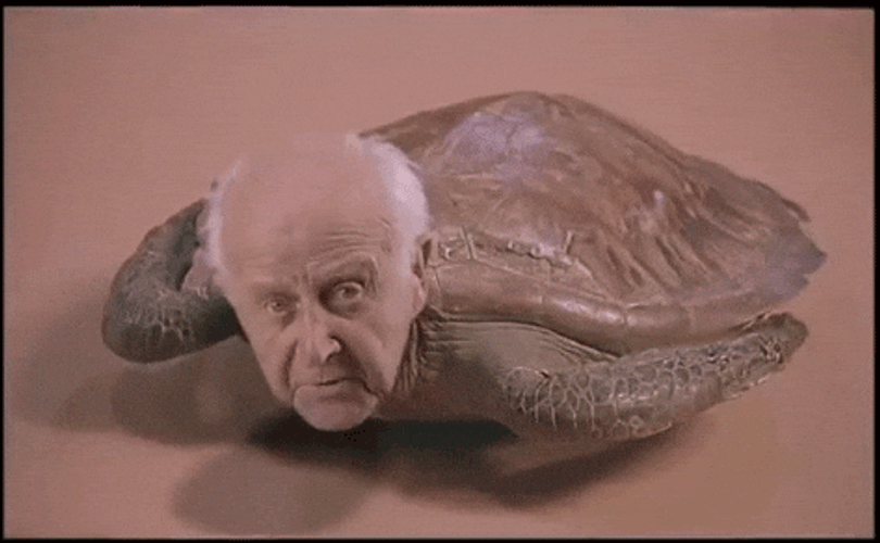 Feliz Día Del Abuelo GIF