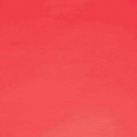 Feliz Dia Del Amor Y La Amistad 480 X 480 Gif GIF