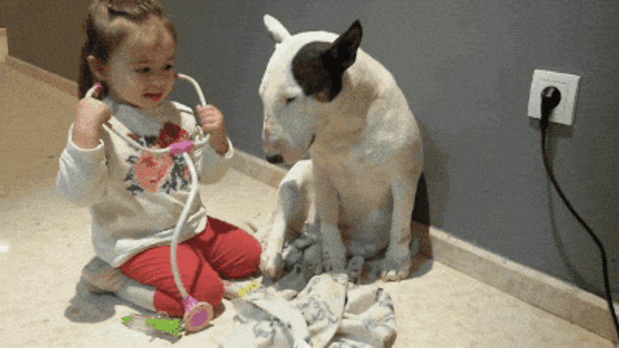 Feliz Dia Del Medico GIF