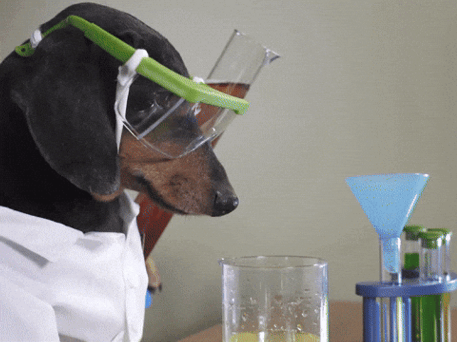 Feliz Dia Del Quimico GIF