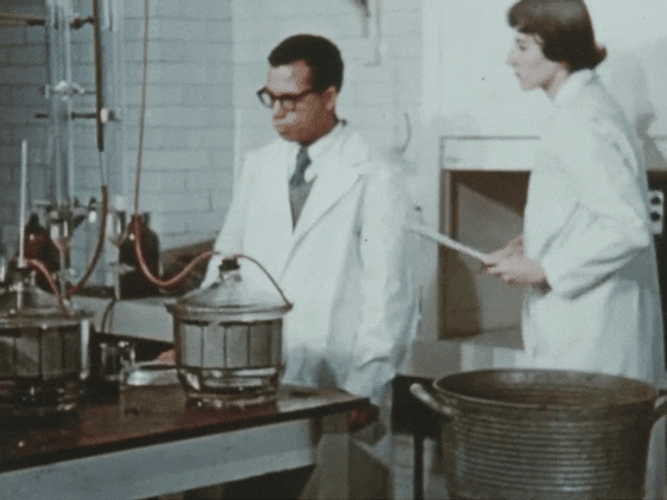 Feliz Dia Del Quimico GIF