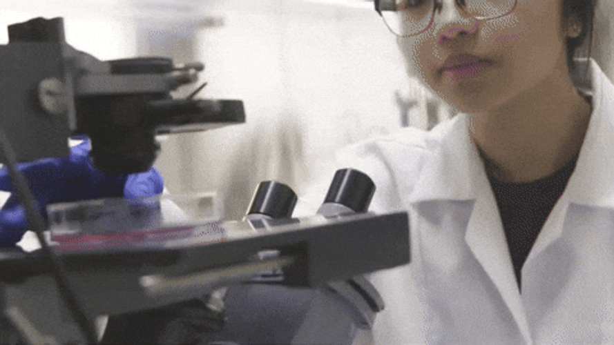 Feliz Dia Del Quimico GIF