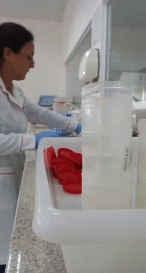 Feliz Dia Del Quimico GIF