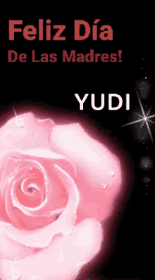 Feliz Die De Las Madres Yudi GIF