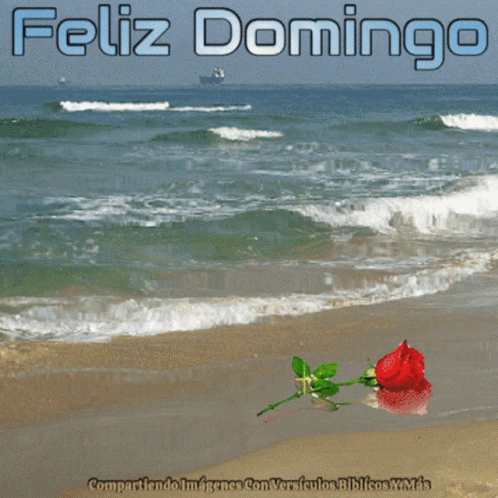 Feliz Domingo Beach Scene
