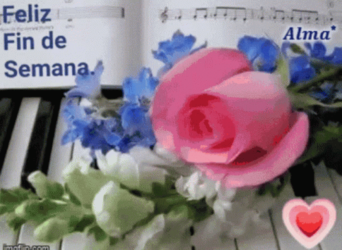 Feliz Fin De Semana 498 X 365 Gif GIF