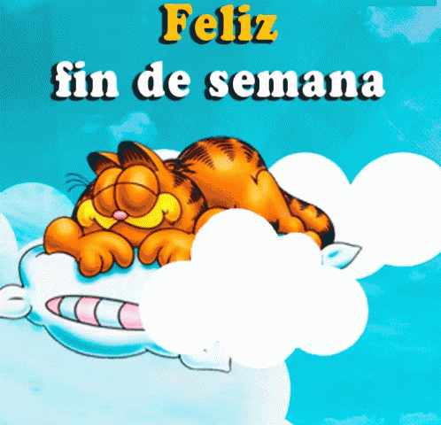Feliz Fin De Semana 498 X 480 Gif GIF