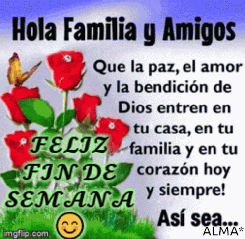 Feliz Fin De Semana 498 X 487 Gif GIF