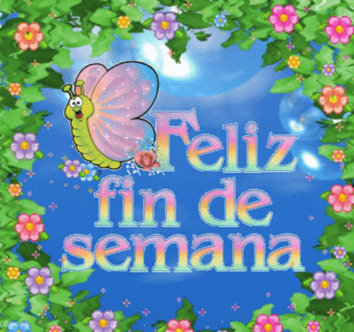 Feliz Fin de Semana Greeting Card