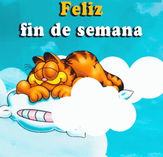 Feliz Fin De Semana GIF