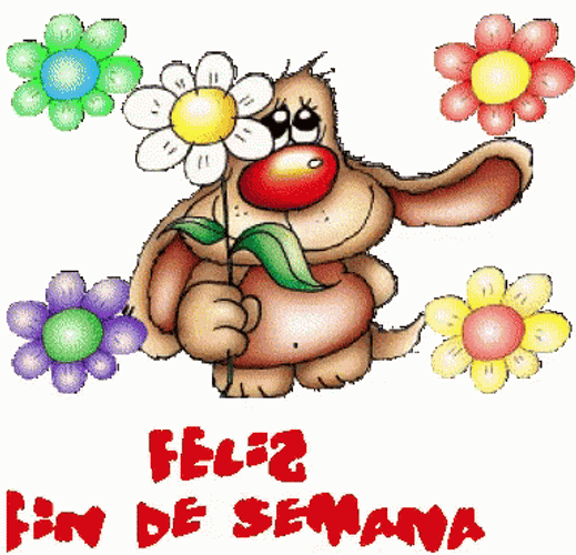 Feliz Fin De Semana GIF