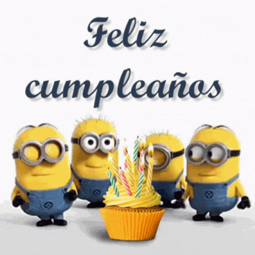 Feliz GIF