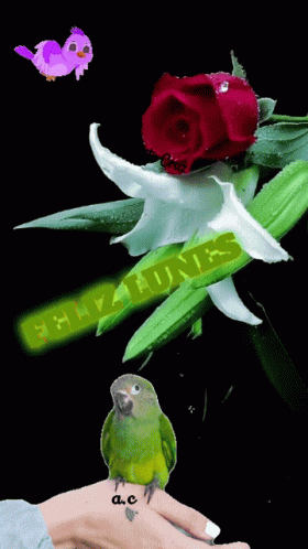 Feliz Inicio De Semana 280 X 498 Gif GIF