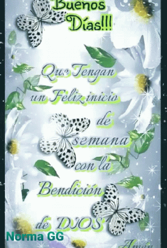 Feliz Inicio De Semana 336 X 498 Gif GIF