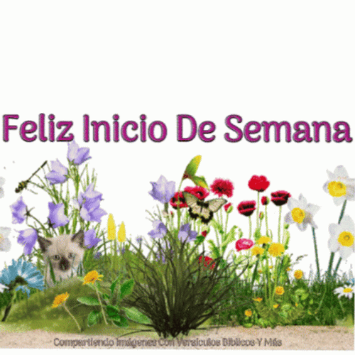 Feliz Inicio De Semana GIF