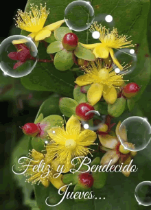 Feliz Jueves With Bubbles GIF