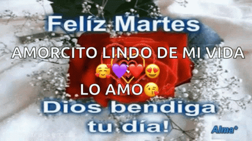 Feliz Martes Amorcito