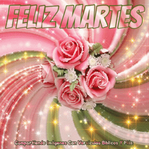 Feliz Martes Greeting Card Pink Roses Pink Background