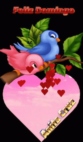 Feliz Martes Love Birds GIF