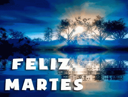 Feliz Martes Poster With Trees