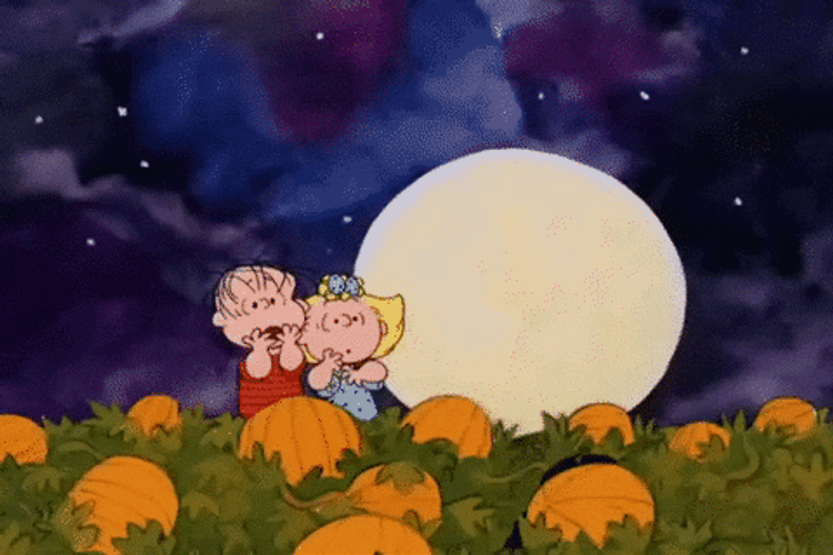 Feliz Martes Snoopy GIF