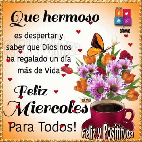 Feliz Miercoles Happy Wednesday GIF