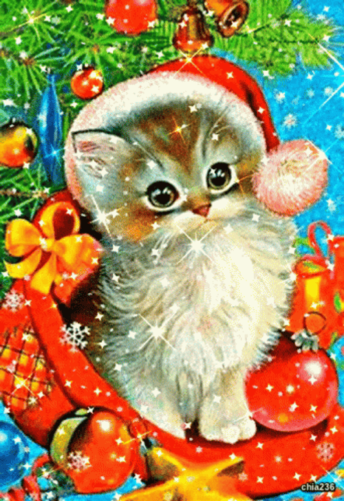 Feliz Navidad Gatos GIF