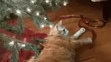 Feliz Navidad Gatos 224 X 126 Gif GIF