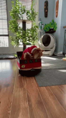 Feliz Navidad Gatos 280 X 498 Gif GIF