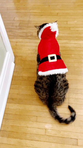 Feliz Navidad Gatos 281 X 498 Gif GIF