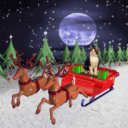 Feliz Navidad Gatos GIF