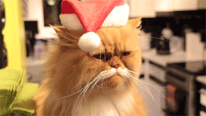 Feliz Navidad Gatos 300 X 169 Gif GIF