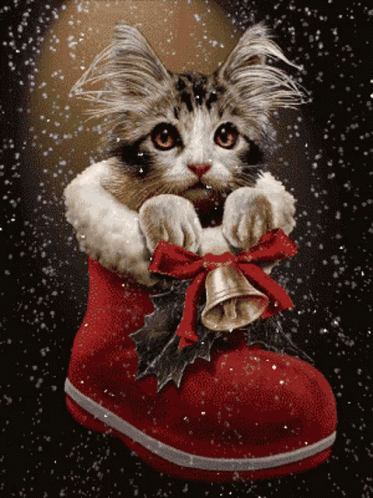 Feliz Navidad Gatos 373 X 498 Gif GIF