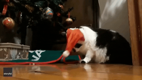 Feliz Navidad Gatos 480 X 270 Gif GIF