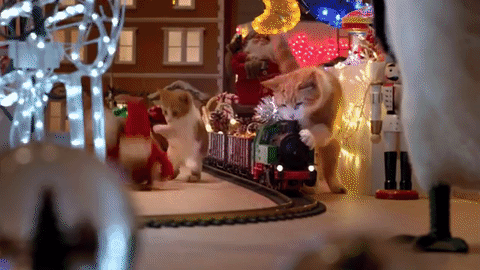 Feliz Navidad Gatos 480 X 270 Gif GIF
