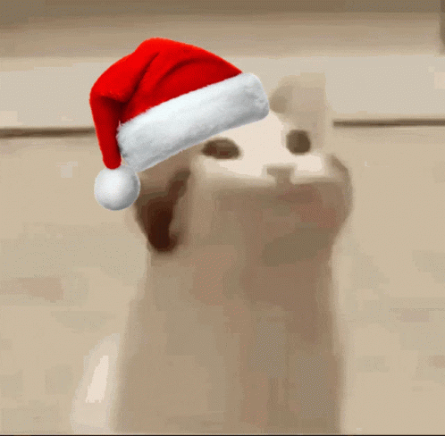 Feliz Navidad Gatos 498 X 488 Gif GIF