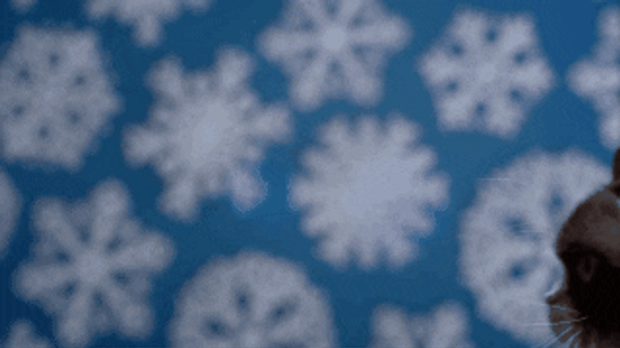 Feliz Navidad Gatos GIF