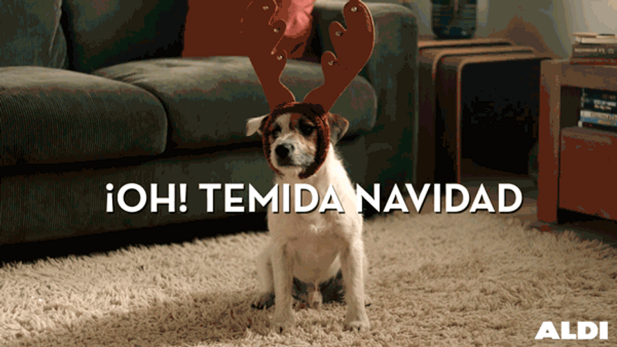 Feliz Navidad Grupo GIF