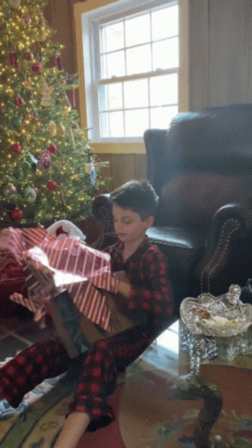 Feliz Navidad Hermano GIF