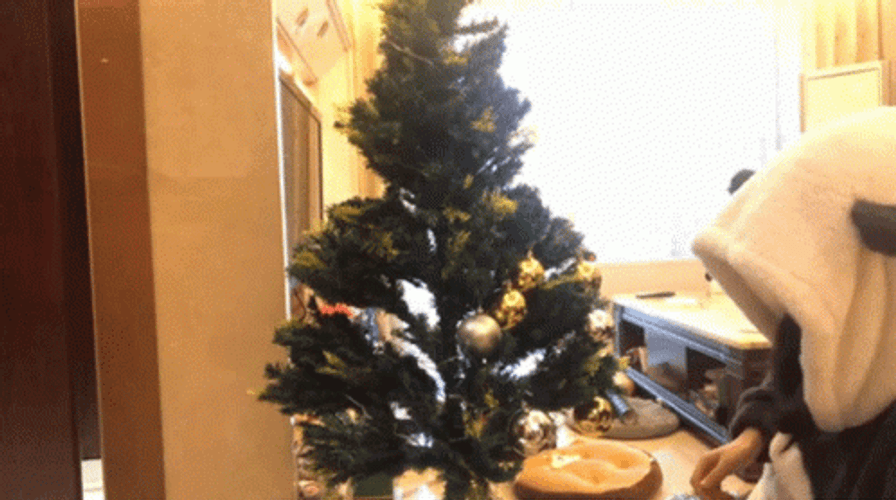 Feliz Navidad Hermano GIF