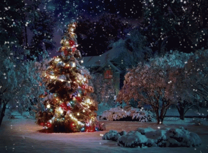Feliz Navidad Hermano GIF
