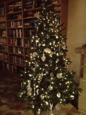 Feliz Navidad Mi Amor 360 X 480 Gif GIF
