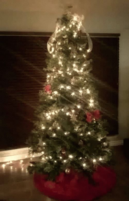 Feliz Navidad Mi Amor GIF
