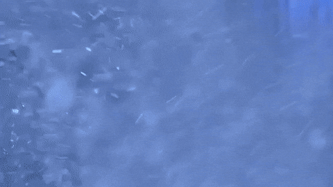 Feliz Navidad Star Wars 480 X 270 Gif GIF