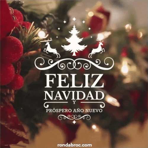 Feliz Noche Buena GIF