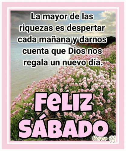 Feliz Sabado Poster in Pink Flower Field