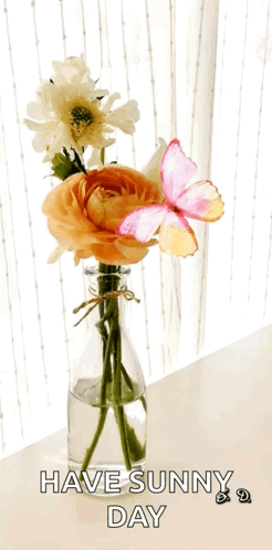 Feliz Tarde 246 X 498 Gif GIF