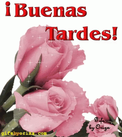 Feliz Tarde 400 X 450 Gif GIF