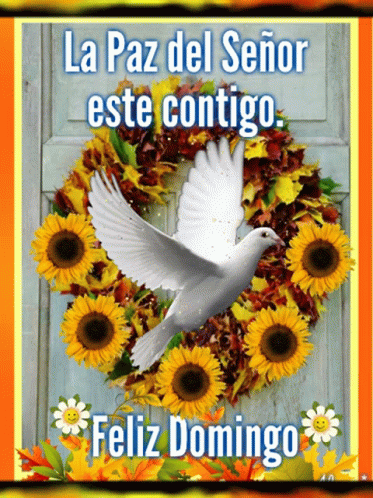 Feliz Tarde De Domingo 373 X 498 Gif GIF